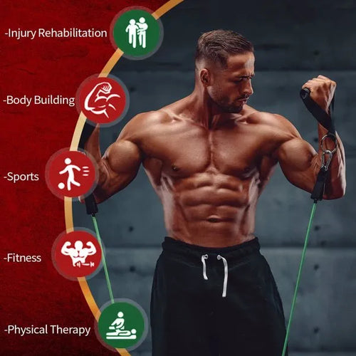 VitaNorth 5-Piece Resistance Band Set — Full Body Strength & Mobility - VitaNorth